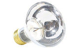 AstroLite II Light Bulb - 100 Watts 12 Volts - Spa R-20
