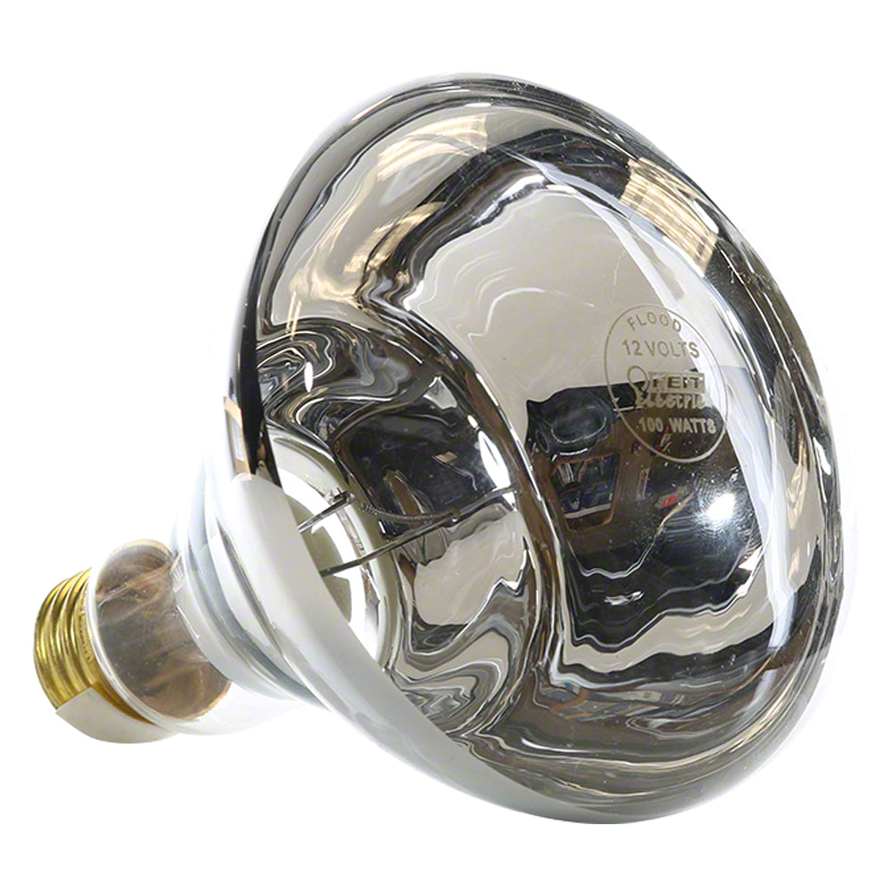 AmerLite/SwimQuip Light Bulb - 100 Watts 12 Volts - Reflector Flood