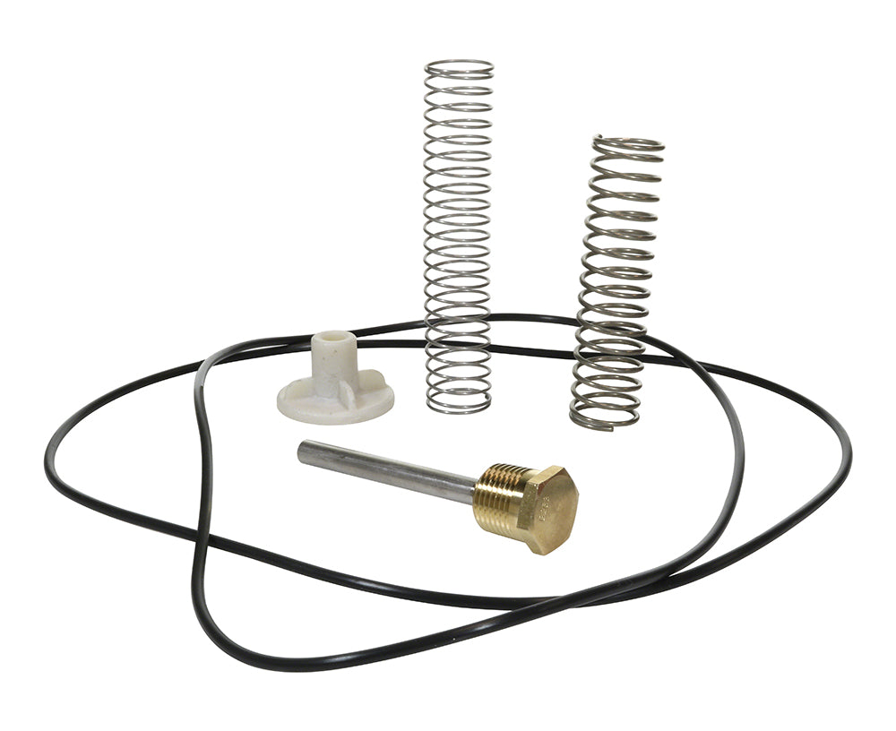 016194F - Bypass Valve Kit 105A-405A and 206A-406A - Raypak
