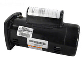 1 HP Pump Motor Square Flange - 1-Speed 1-Phase 115/230 Volts - Full-Rated - Energy Efficient
