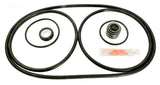 Challenger Pump Repair Kit With Seal and O-Rings
