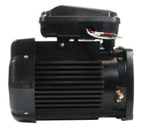 2 HP Pump Motor Square Flange - 3-Phase 208-230/460 Volts 60 Hz - TEFC - Black