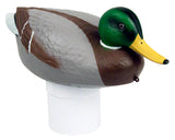 Mallard Duck Floating Chlorine Dispenser