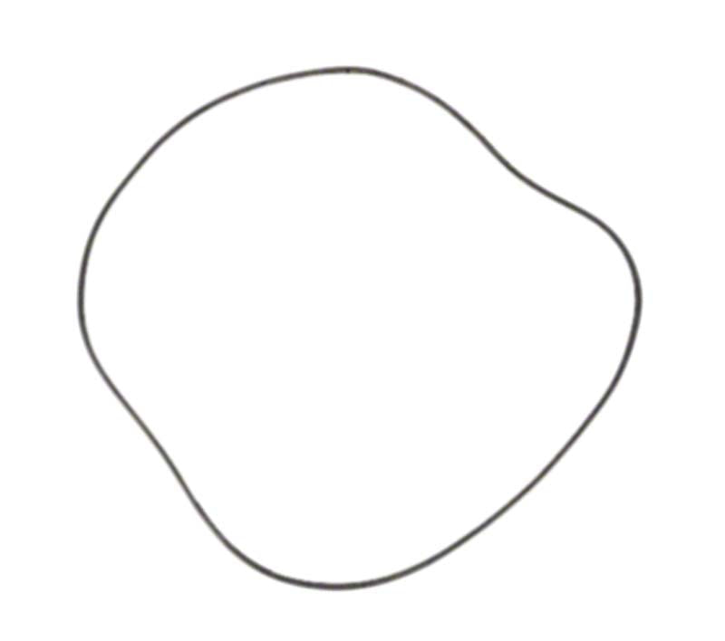 American 18 Inch Tank O-ring for Filter prior to 11-94