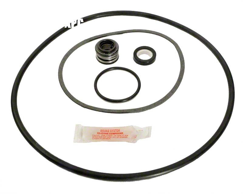 PacFab PE/P2 Pump Repair Kit With Seal and O-Rings
