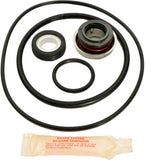 Doughboy PowerPak I Pump Repair Kit With Seal and O-Ring