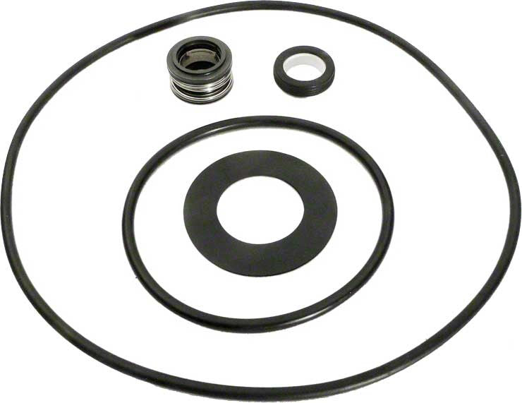 Purex C-Series Pump Repair Kit With Seal and O-Rings