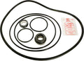 Dominator Pump Repair Kit With Seal and O-Rings Pre-1995