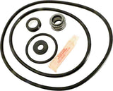 Dyna-Glas Pump Repair Kit With Seal and O-Rings