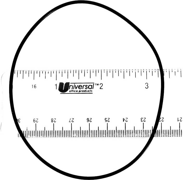 Legend II Back-Up Valve O-Ring