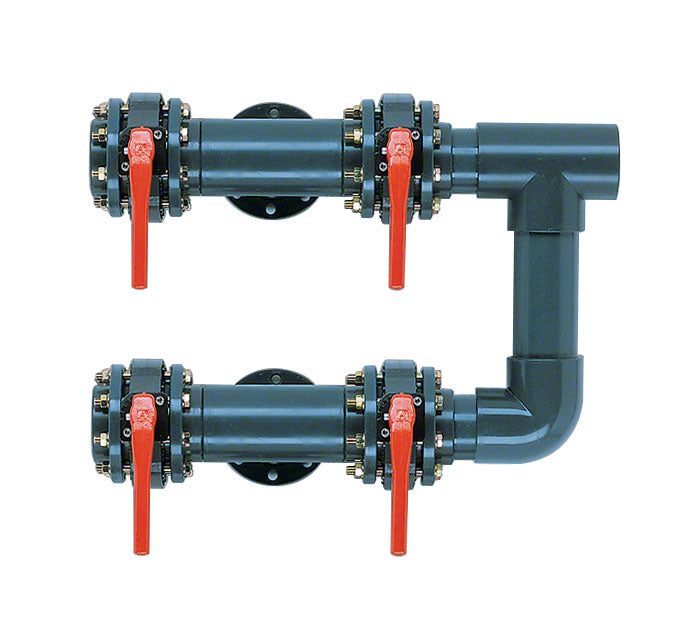 Horizontal Dual Filter Manifold 4-Valve 8 Inch - Schedule 80 - For 48 Inch With 6 Inch Connections