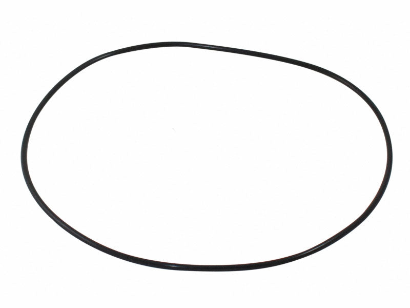 IntellipH Chemical Container Lid O-Rings - 5 Pack