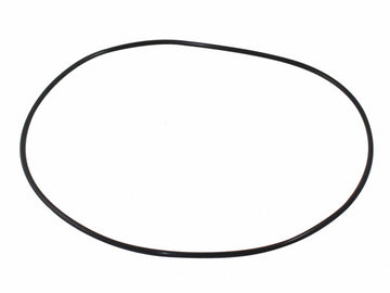 IntellipH Chemical Container Lid O-Rings - 5 Pack