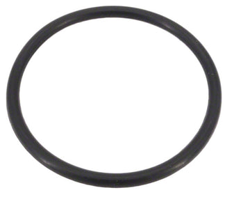 Pro Series LM2 Chlorinator O-Ring