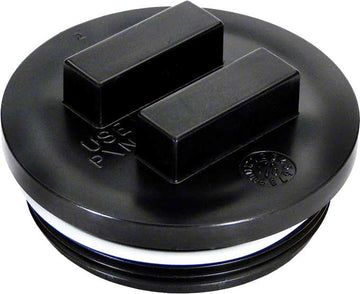 All Purpose Plug - 2 Inch Plug - With O-Ring