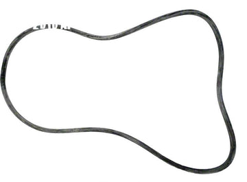 Tank O-Ring for Swimquip and TriClops