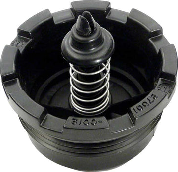 PLD/PLM Spring Check Valve