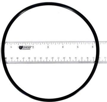 Dynamo Seal Plate O-Ring