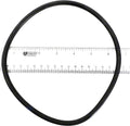 Max-E-Pro Strainer Cover O-Ring