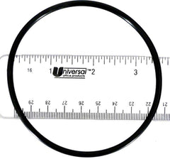 thumbnail image 2 of Pentair WhisperFlo IntelliFlo Seal Plate Gasket - OEM Replacement 357100 / 357100Z 2 of 6