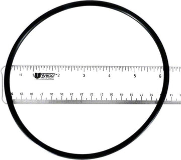 Generic Pump Volute O-Ring