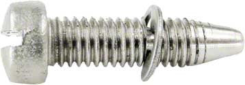 Anthony Face Ring Screw
