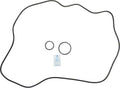 Sta-Rite DEP83 O-Ring Kit