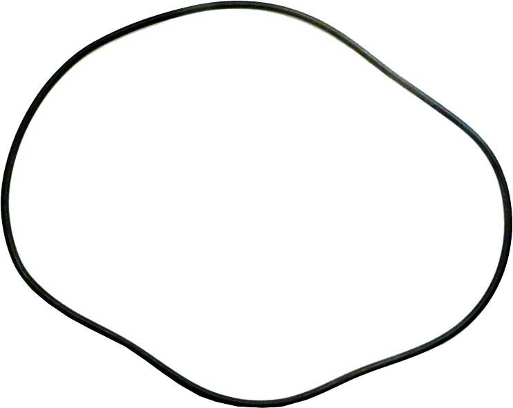 Sta-Rite HRS24-01 Filter O-Ring