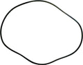 Sta-Rite HRS24-01 Filter O-Ring