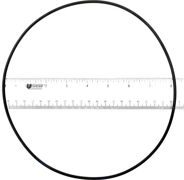 Sta-Rite Pump Lid O-Ring U9-241