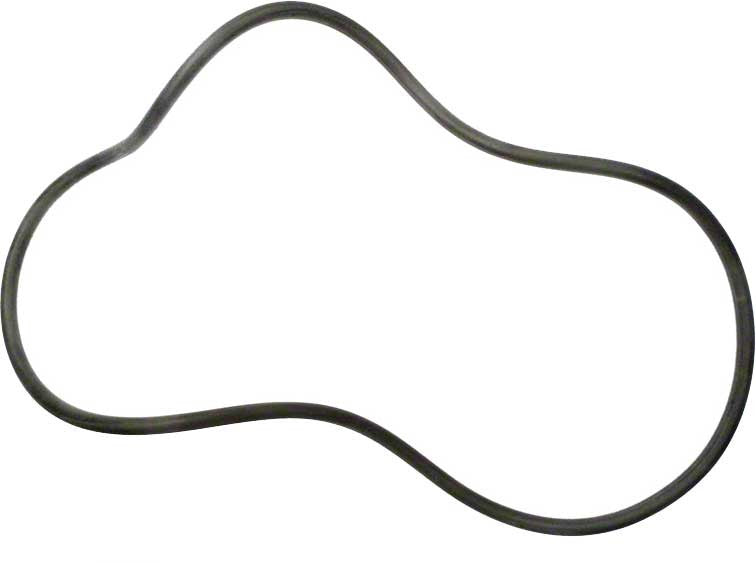 Doughboy Lomart Pump Lid O-Ring