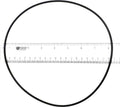 WhisperFlo Pump O-Ring