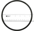 Pentair/PacFab Pump Lid O-Ring