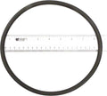 Commander Filter O-Ring