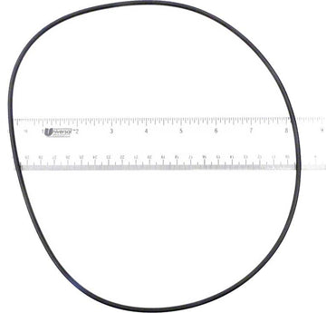Tahitian Filter Lid O-Ring