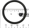 Dura-Max-E-Glas II Shaft O-Ring
