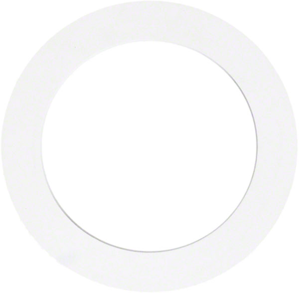 Elite Aboveground Pool Light Gasket