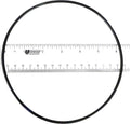 Seal Plate O-Ring - Sta-Rite
