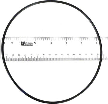 Seal Plate O-Ring - Sta-Rite
