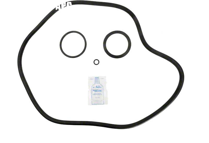 PF100 Stainless Sand Filter O-Ring Kit