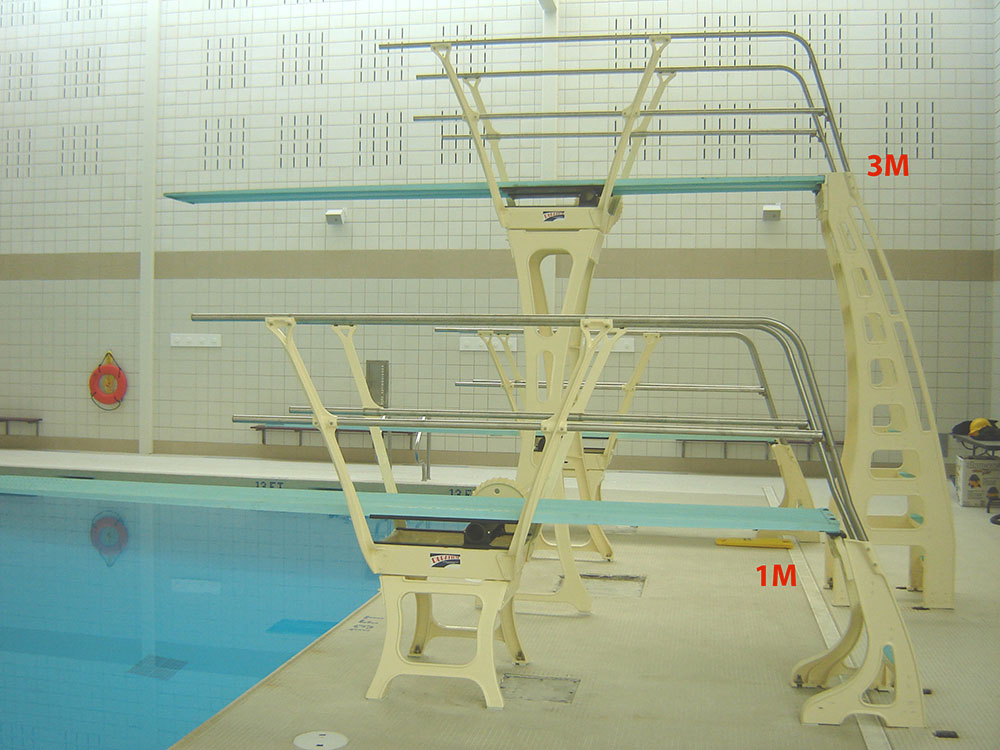 Duraflex 3 Meter Dive Stand with Double Rail (Both Sides) - No Anchors