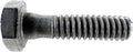 WhisperFlo/IntelliFlo Screw - #1/4-20 x 1 Inch Hex Head