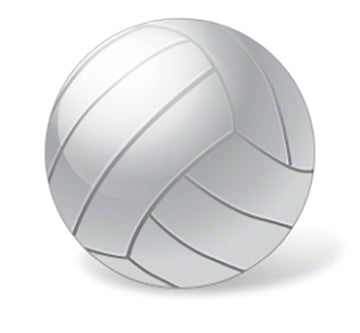 Volleyball Ball With Needle