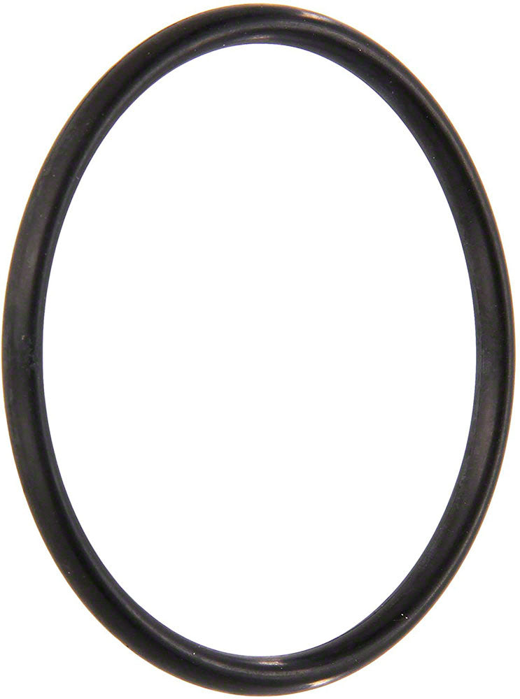Chlorinator Sanitizer O-Ring #338