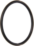 Chlorinator Sanitizer O-Ring #338