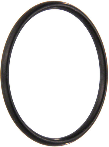 Chlorinator Sanitizer O-Ring #338