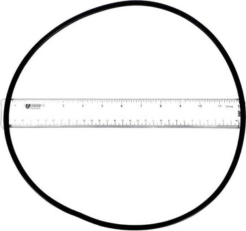 C-18 P24150 Pump Lid O-Ring