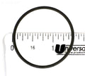 Regal S-411 Chlorinator O-Ring